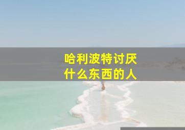 哈利波特讨厌什么东西的人