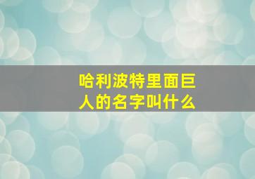 哈利波特里面巨人的名字叫什么