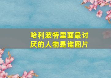 哈利波特里面最讨厌的人物是谁图片