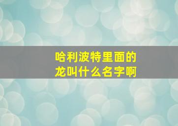 哈利波特里面的龙叫什么名字啊