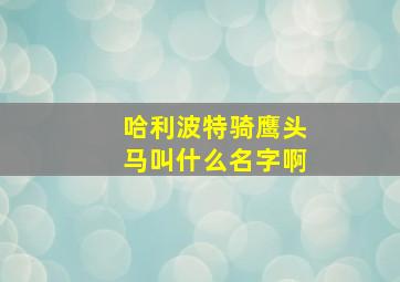 哈利波特骑鹰头马叫什么名字啊