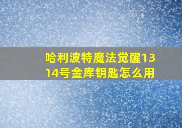 哈利波特魔法觉醒1314号金库钥匙怎么用