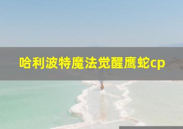 哈利波特魔法觉醒鹰蛇cp