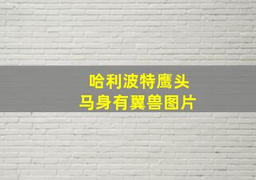 哈利波特鹰头马身有翼兽图片