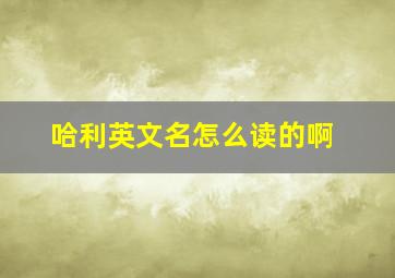 哈利英文名怎么读的啊