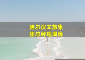 哈尔滨文旅集团总经理周巍