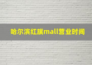 哈尔滨红旗mall营业时间