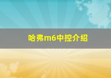 哈弗m6中控介绍