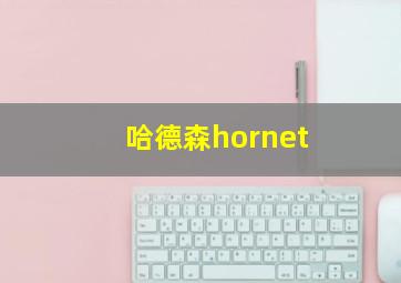 哈德森hornet