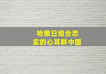 哈撒日组合忠实的心耳畔中国