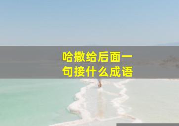 哈撒给后面一句接什么成语