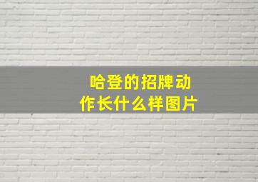 哈登的招牌动作长什么样图片