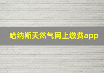 哈纳斯天然气网上缴费app