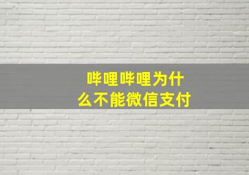 哔哩哔哩为什么不能微信支付