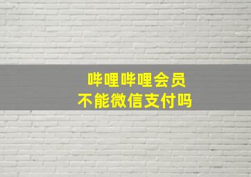 哔哩哔哩会员不能微信支付吗