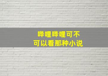 哔哩哔哩可不可以看那种小说