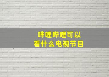 哔哩哔哩可以看什么电视节目