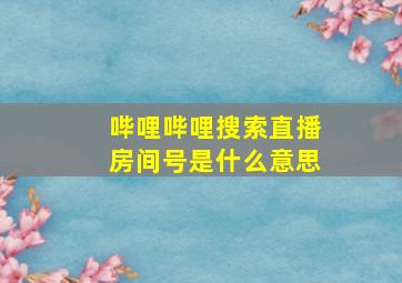 哔哩哔哩搜索直播房间号是什么意思