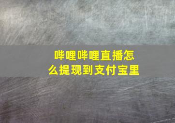 哔哩哔哩直播怎么提现到支付宝里