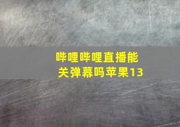 哔哩哔哩直播能关弹幕吗苹果13