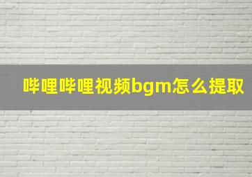 哔哩哔哩视频bgm怎么提取