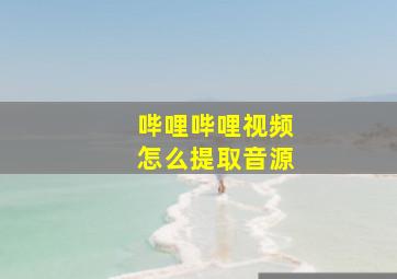 哔哩哔哩视频怎么提取音源