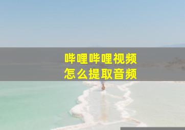 哔哩哔哩视频怎么提取音频