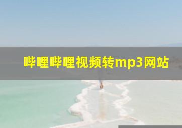 哔哩哔哩视频转mp3网站