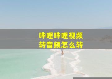 哔哩哔哩视频转音频怎么转