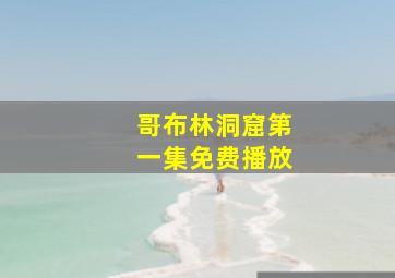 哥布林洞窟第一集免费播放