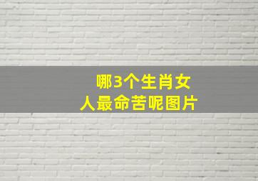 哪3个生肖女人最命苦呢图片