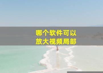 哪个软件可以放大视频局部