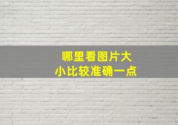 哪里看图片大小比较准确一点