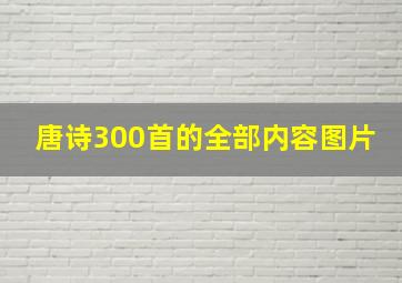 唐诗300首的全部内容图片