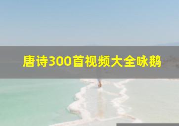 唐诗300首视频大全咏鹅