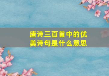 唐诗三百首中的优美诗句是什么意思