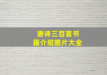 唐诗三百首书籍介绍图片大全