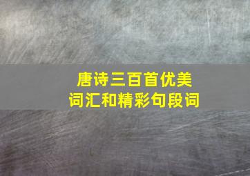 唐诗三百首优美词汇和精彩句段词