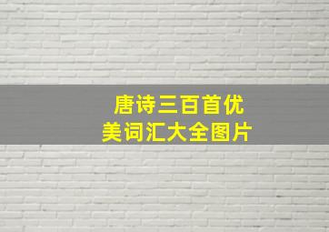 唐诗三百首优美词汇大全图片