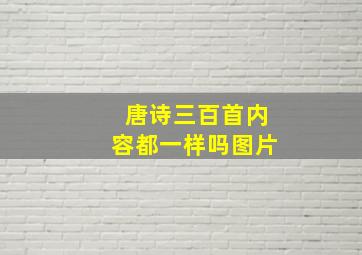 唐诗三百首内容都一样吗图片