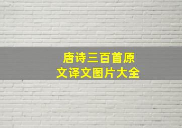 唐诗三百首原文译文图片大全