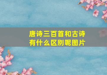 唐诗三百首和古诗有什么区别呢图片