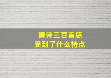 唐诗三百首感受到了什么特点