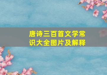 唐诗三百首文学常识大全图片及解释