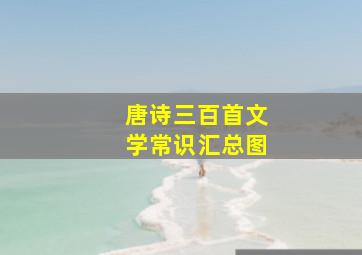 唐诗三百首文学常识汇总图