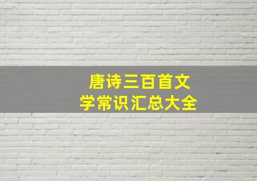 唐诗三百首文学常识汇总大全