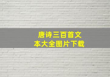 唐诗三百首文本大全图片下载