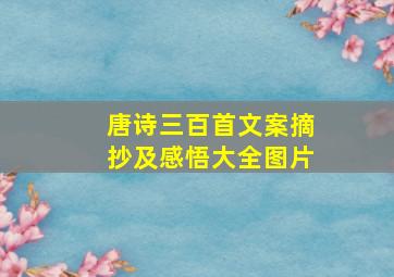 唐诗三百首文案摘抄及感悟大全图片