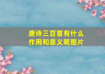 唐诗三百首有什么作用和意义呢图片