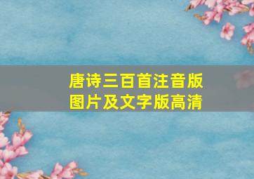 唐诗三百首注音版图片及文字版高清